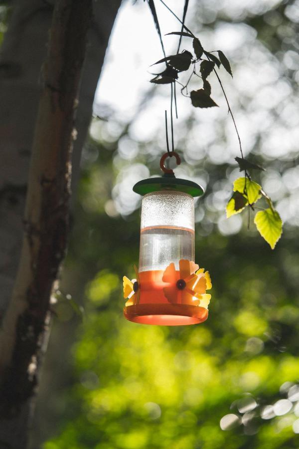 El Colibri Cabanas De La Naturaleza Trelew Dış mekan fotoğraf